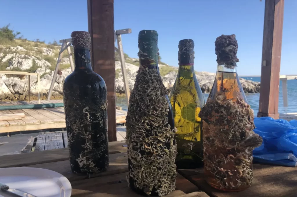 Coral Wine- the Adriatic’s sunken treasure
