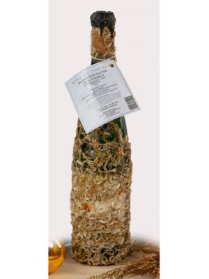 Bernkasteler Doctor 2021, Wine of the Sea