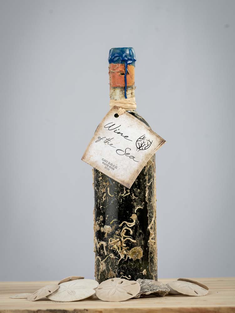 Wine of the Sea - Gavi di Gavi 2018