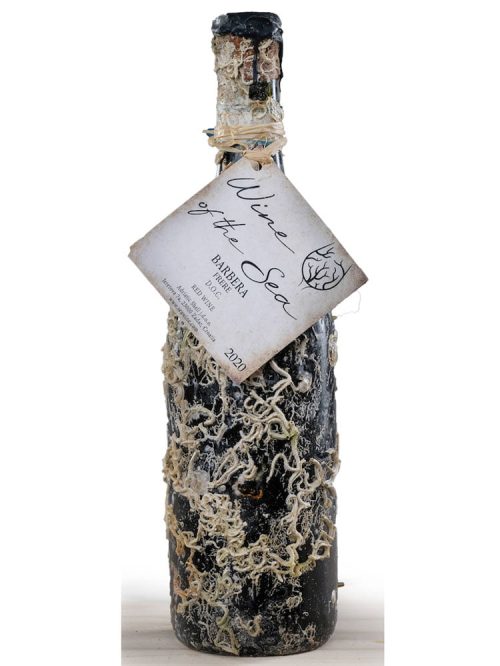 Barbera Frere 2020, Wine of the Sea