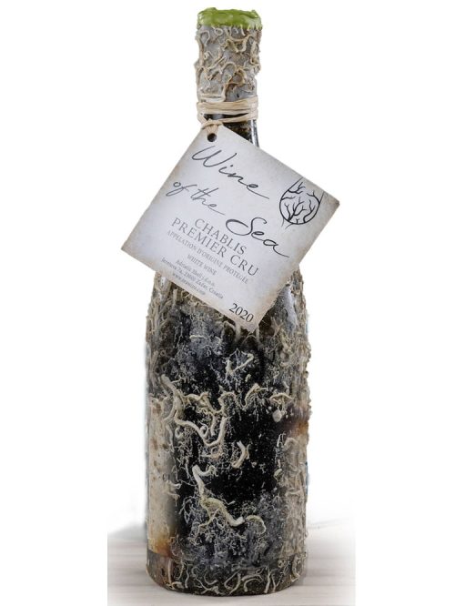Chablis Premier Cru 2020, Wine of the Sea