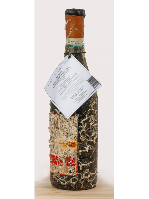 Wine of the Sea - Nebbiolo 2019