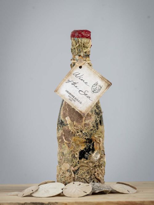 Wine of the Sea - Amarone 2020