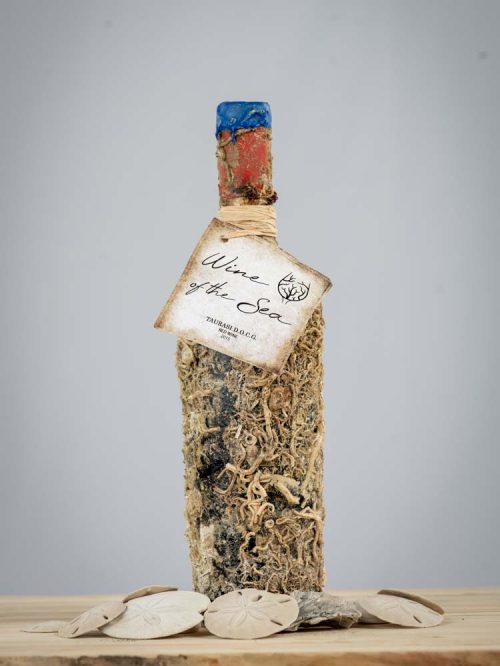 Wine of the Sea - Taurasi 2015