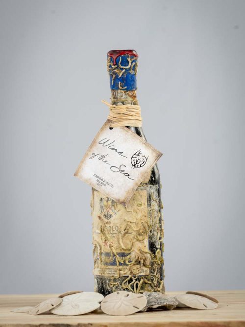 Wine of the Sea - Barolo 2017